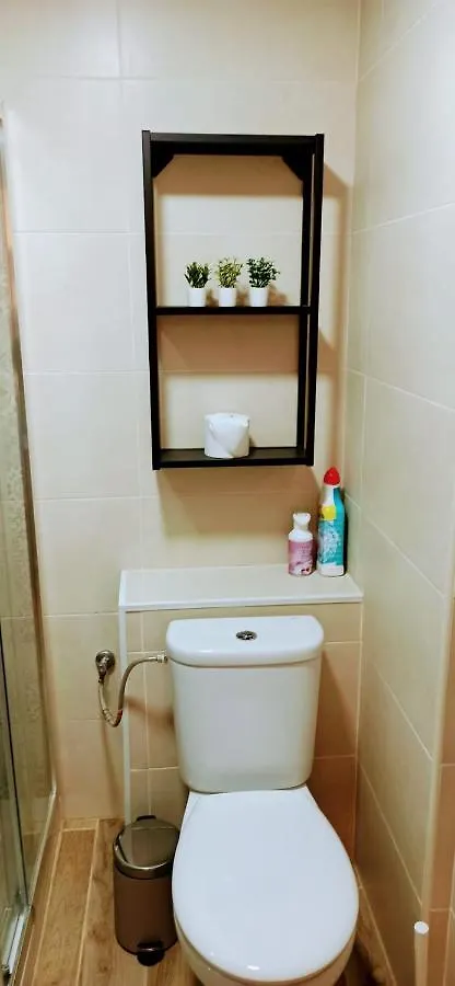 Ole Ole Bazan Apartment Malaga